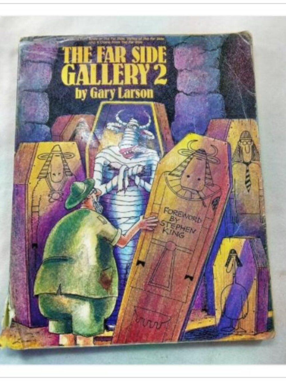 The Far Side Gallery 2 Gary Larson 1988 Seventh Printing Paperback Book Vintage
